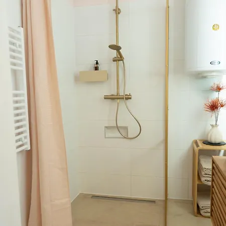 Lovingly Furnished In Center 格拉茨